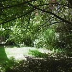 Petit Sous Combles 10 Kms Lille