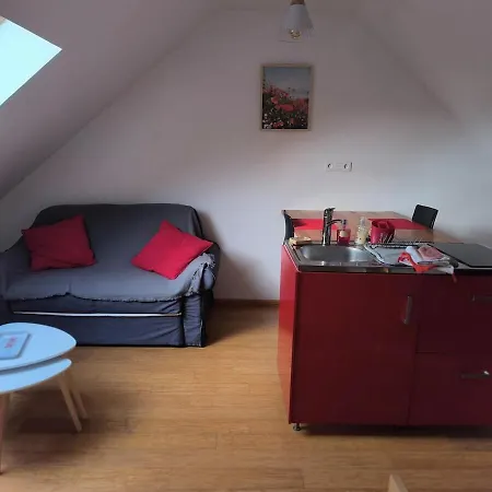 Petit Sous Combles 10 Kms Lille * Premesques