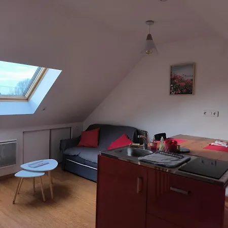 Petit Sous Combles 10 Kms Lille *