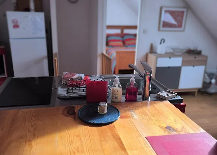 Petit Sous Combles 10 Kms Lille Apartment *