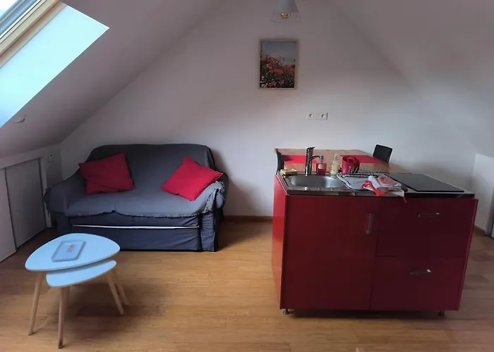 Petit Sous Combles 10 Kms Lille * Premesques