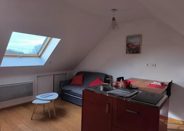 Petit Sous Combles 10 Kms Lille *