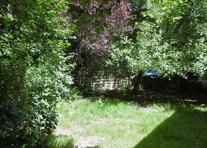 Petit Sous Combles 10 Kms Lille Premesques