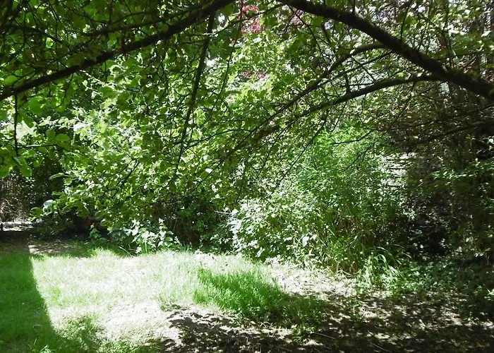 Petit Sous Combles 10 Kms Lille